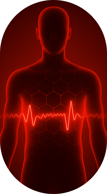 Graphic representation of red light frequency waves interacting with the human chest and internal systems